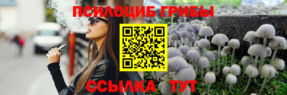 Псилоцибиновые грибы Psilocybe Видное