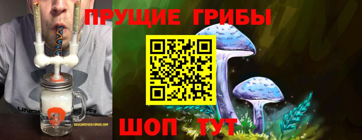 Псилоцибиновые грибы Psilocybine cubensis  Вход с VPN  Галлюциногенные грибы Psilocybine cubensis  Видное 